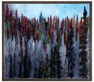 Spruce Forest & Raven