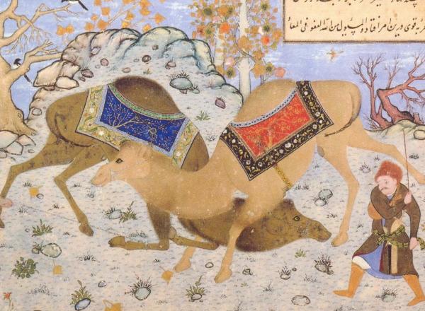 Kamal al-Din Behzad, Camel Fight, Between 1525 and 1560. Golestan Palace Library. License