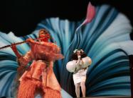 Image from Cornucopia book.  