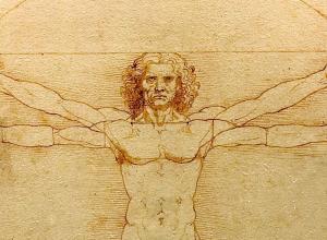 Da Vinci's Vitruvian man from the chest up- a figure of a man with four arms in a circle