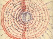 Jordan Belson Brain Drawing, 1952 Ink on paper 7 13/16 x 7 13/16 inches (19.8 x 19.8 cm) Estate of Jordan Belson, Courtesy Matthew Marks Gallery